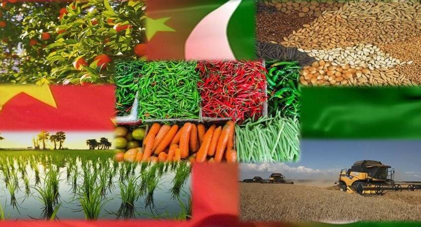  Pakistan to realize its agricultural potential through CPEC