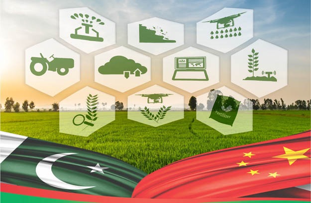  BRI and CPEC playing a powerful role in Pakistan’s green development: Report