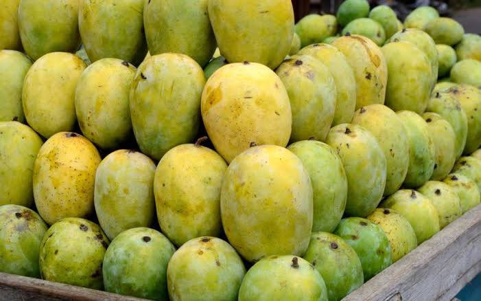  Pakistani mango festivals held in China’s metropolises