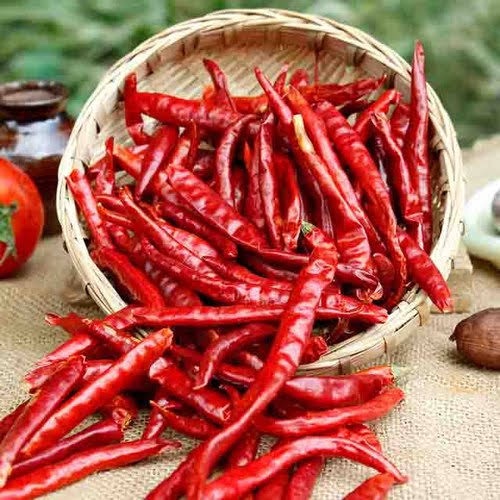  Upcoming Event: Pakistan Chilli Contract Farming Project Promotion & Inaugural Conference of Pakistan-China Condiment Industry Alliance