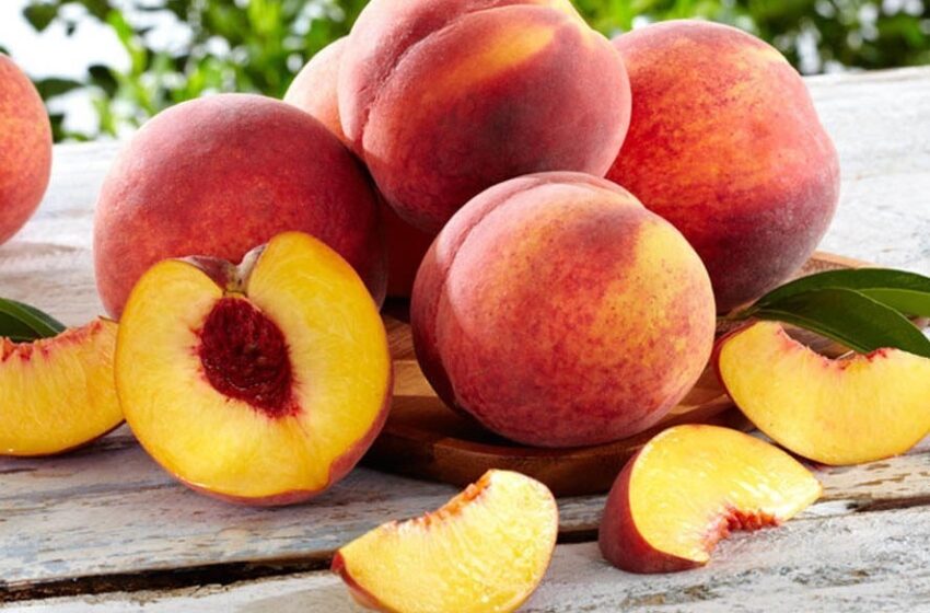  Tourism and better roads to boost peach industry in Swat