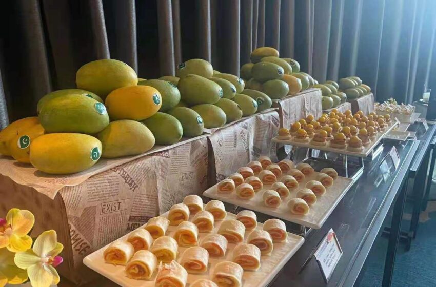  Pakistani mango festival held in Guangzhou