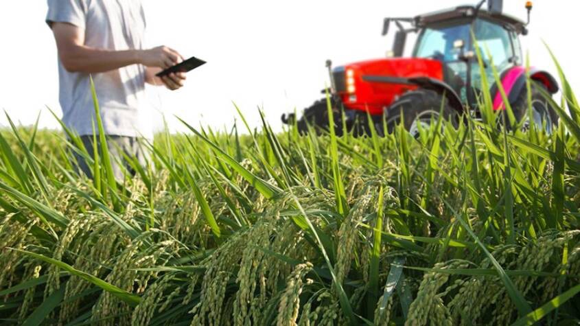  Digital farming under CPEC to revolutionize Pakistan’s agriculture