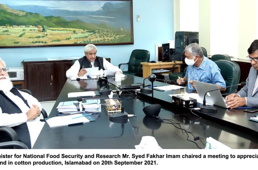  Cotton production has increased with Chinese help: Food Minister