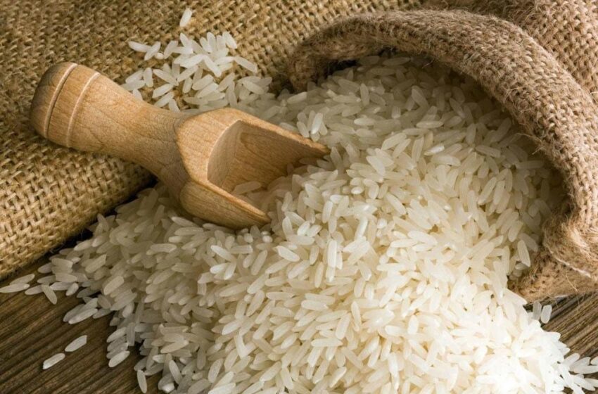  Pak-China cooperation sought to renew Pakistan’s rice industry