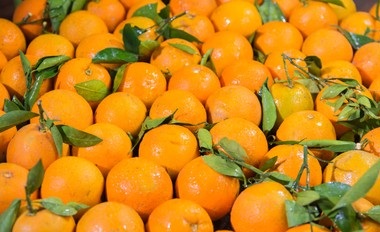  Pakistan looks to greater oranges export to China, PM’s aide