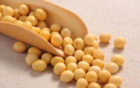  Soybean production’s regaining attention from Pakistan visionary