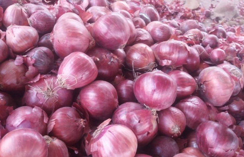  MoU to be signed next week to facilitate Pakistani export of onion to China