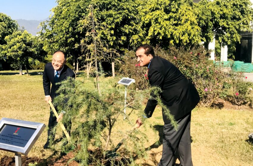  China gifts 7000 saplings for Green Pakistan