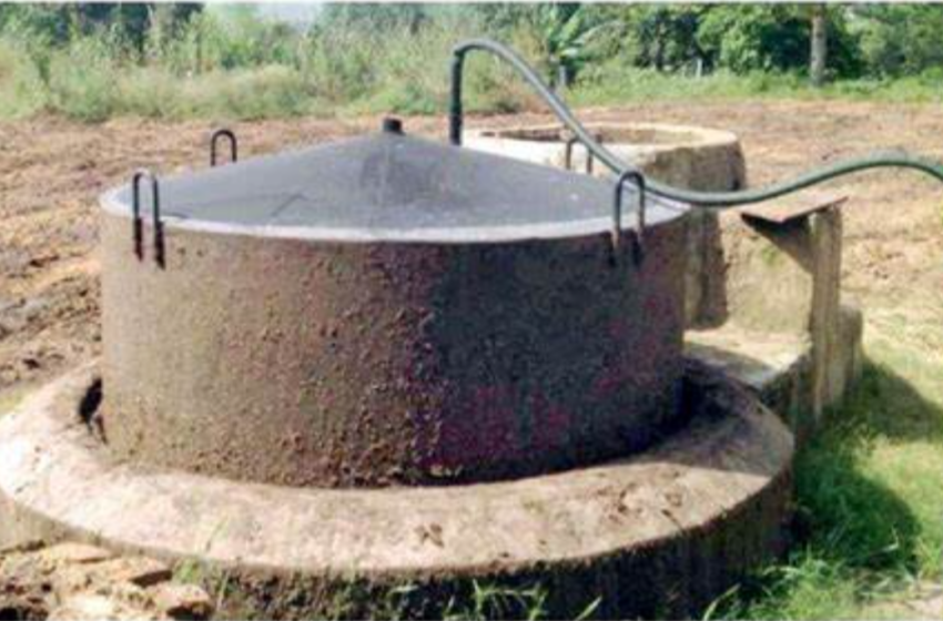  Bright prospect for Pak-China biogas cooperation