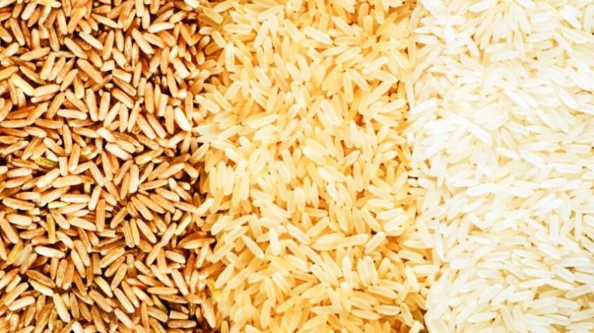  Chinese scientists assist Pakistan in introducing Basmati rice hybrid seeds