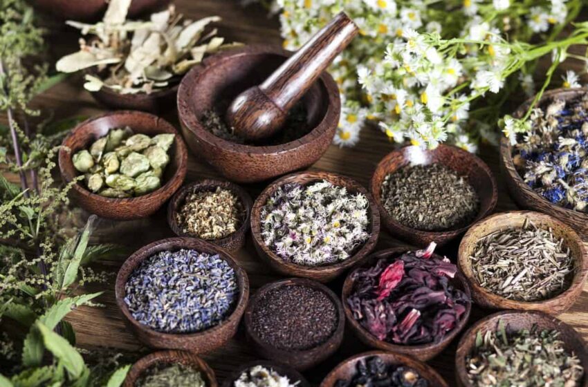  Chinese traditional medicines have big scope to become popular in Pakistan: Expert