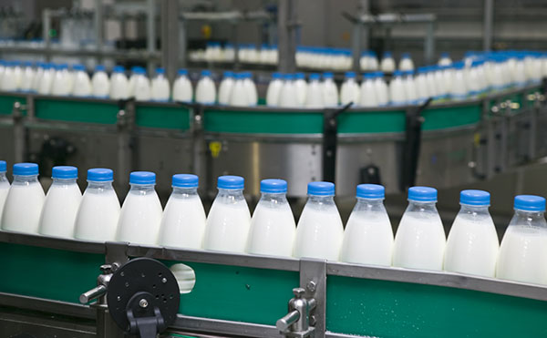  Pak-China cooperation on dairy industry to bring industrial revolution