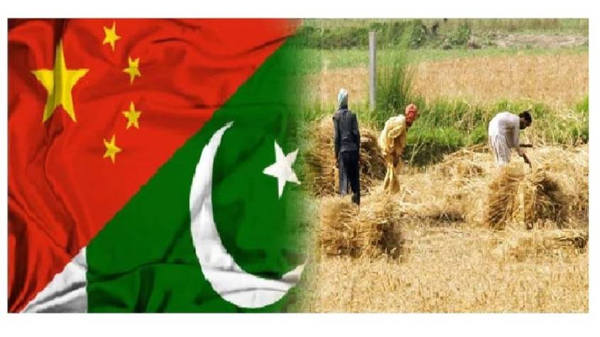  Gansu to boost agricultural cooperation with Pakistan