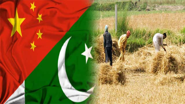  Pakistan, China to boost cooperation in the agriculture sector