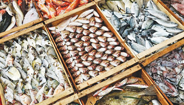  China imports 13,866 tonnes of fish meal from Pakistan in Jan-Feb
