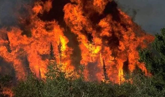  Pakistan, China agree to establish joint monitoring system for forest fires