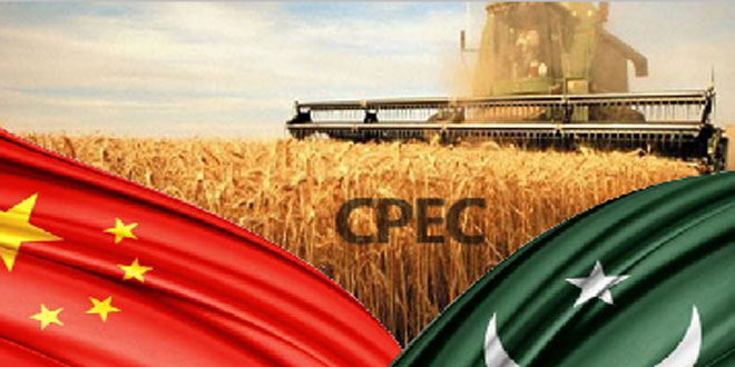  China, Pakistan to sign MoU on agricultural cooperation framework under CPEC