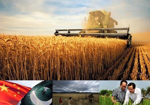  Pak-China Agri Cooperation to boost under the CPEC framework