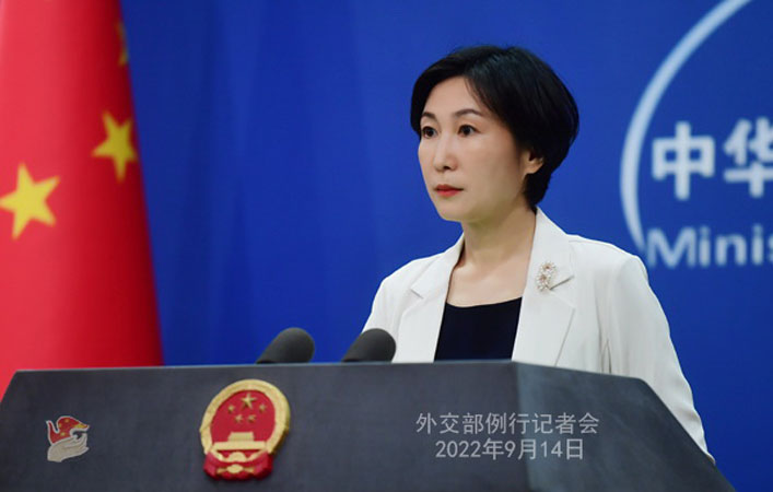  China to work with Pakistan in new year for shared destiny: Chinese FM Spokesperson