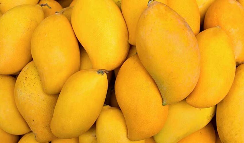  PCJCCI plans Pakistan-China Trade Portal to boost mango export