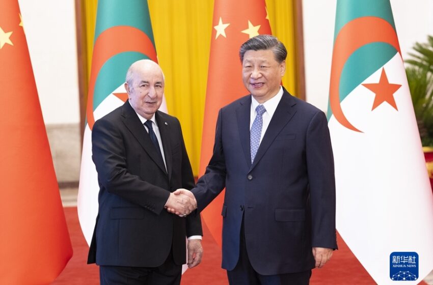  President Xi Jinping Holds Talks with  Algerian President Abdelmadjid Tebboune