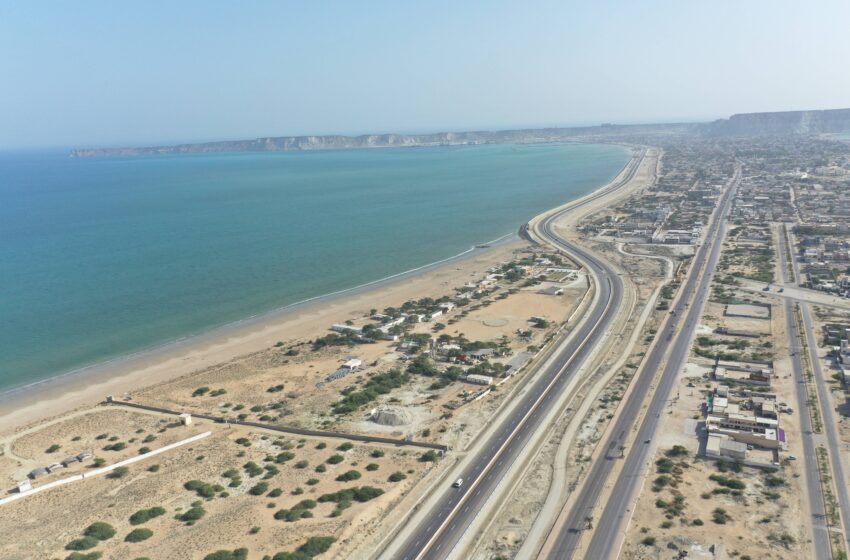  Chinese enterprises in FTZ bring Gwadar Port into bloom