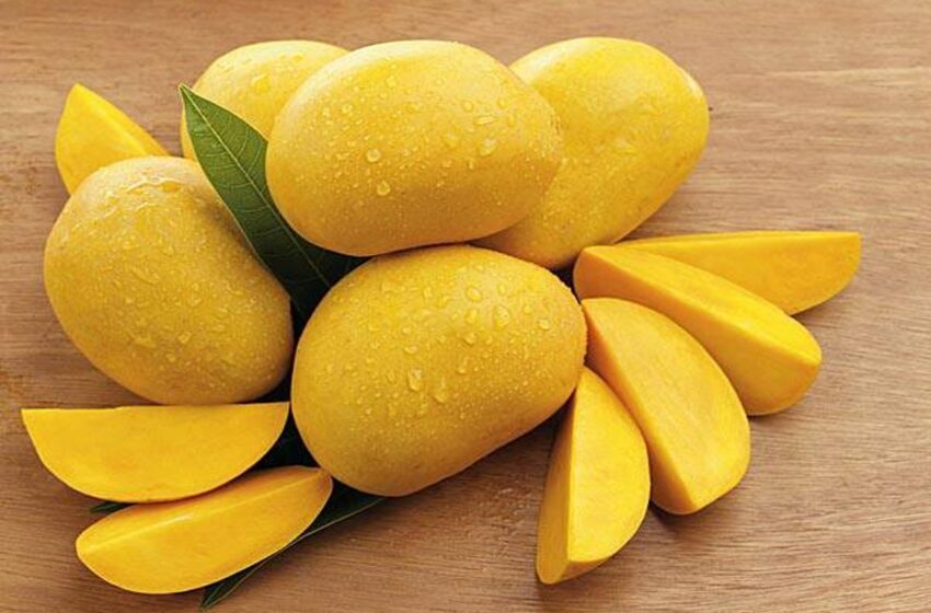  Pakistani mango exporters turn to advanced freezing tech to tap into Chinese market