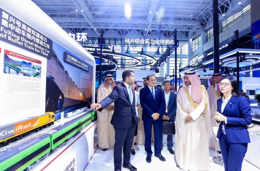  6th China-Arab States Expo kicks off in northwest China