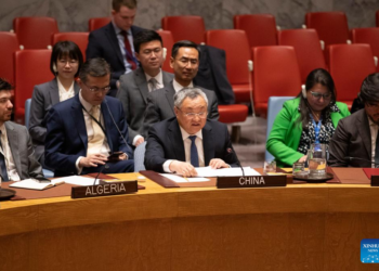 Chinese Envoy Supports Two-State Solution