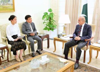 PM welcomes Chinese investment in Pakistan