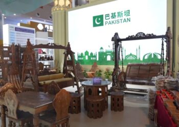 Pakistani Firms Eye Opportunities at China-South Asia Expo