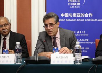 China, Pakistan friendship means stable South Asia: Ambassador Hashmi