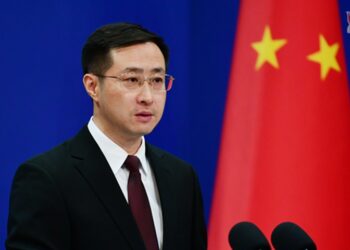 Foreign Ministry Spokesperson Lin Jian’s Remarks on August 15, 2024