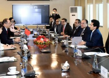 China Pakistan discuss energy reforms