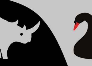 Can Gazelles and Unicorns Outperform Black Swans and Gray Rhinos in China?