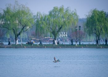 China reports significant progress on water ecology protection