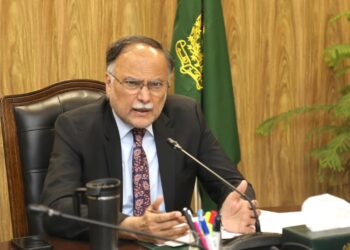 Ahsan Iqbal meets Chinese experts