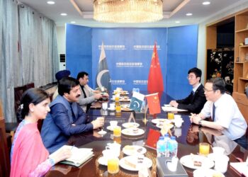 Governor Punjab promises full support for Chinese investors