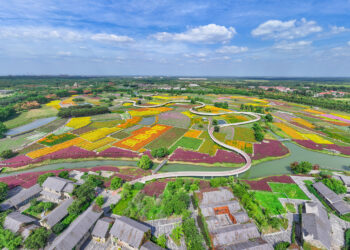 China issues guidelines to ramp up green transition