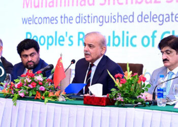 Shahbaz urges enhanced economic ties with China