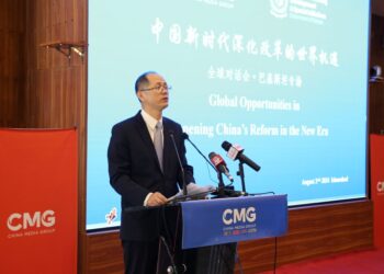 Shi Yuanqiang Chargé d'affaires attended the Global Dialogue