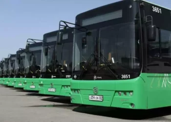 Punjab to launch Green Transport System with Chinese collaboration
