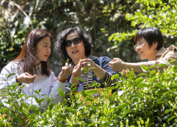 Xi Jinping sends congratulatory letter to SCO Forum on Women
