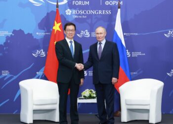 Chinese VP meets with Putin