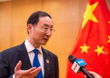 China to host friendly, united, fruitful SCO summit next year: vice foreign minister