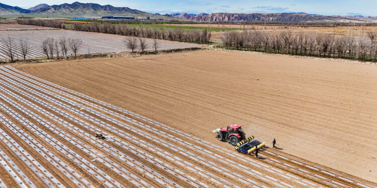 Xinjiang resolution against US sanctions takes effect