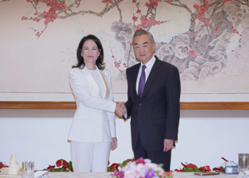 Chinese FM tells Germany not to politicize trade disputes with China
