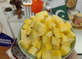 Pakistani fruit & juice exports to China surge