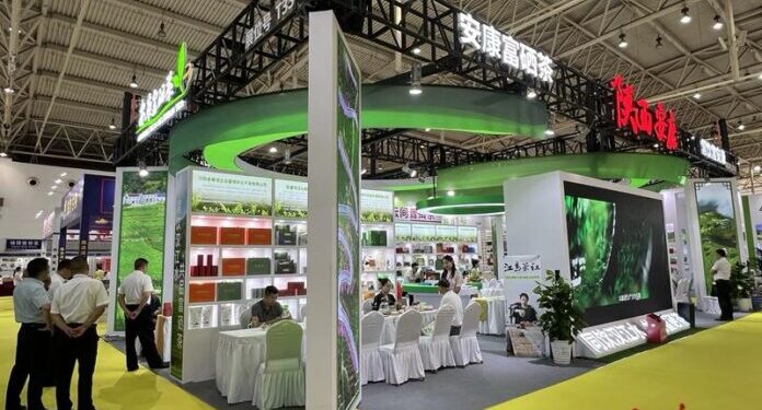 China, Pakistan eye stronger collaboration in tea industry